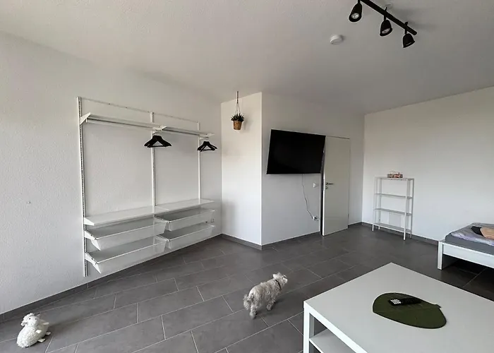 Moderne 3,5 85m2 & Balkon * 杜伊斯堡